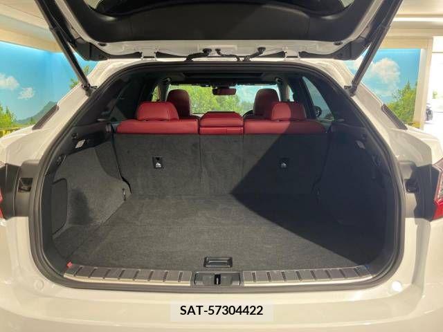 Lexus RX 2016-06 298640-10
