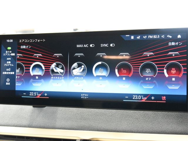 Bmw IX 2021-11 18265-9