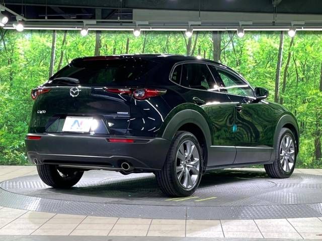 Mazda CX-30 2023-03 192306-17