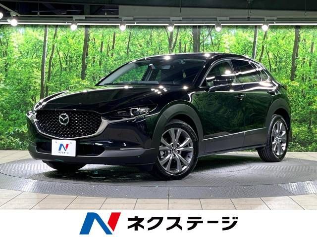 Mazda CX-30 2023-03 192306-0