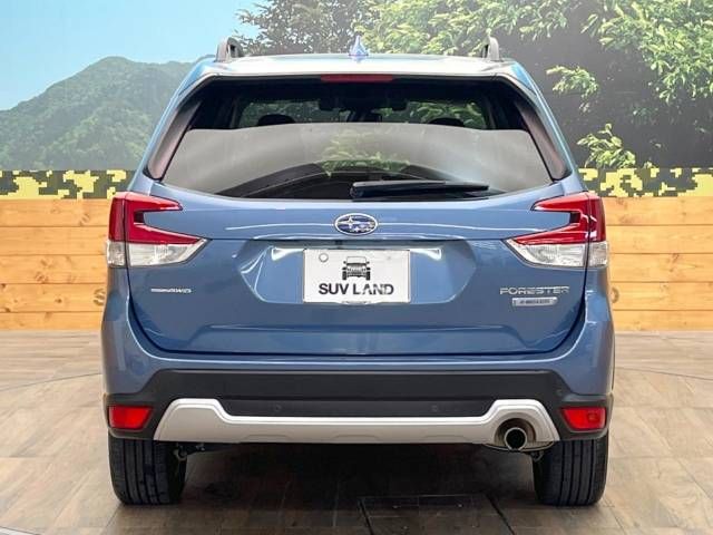Subaru FORESTER 2018-09 23137-15