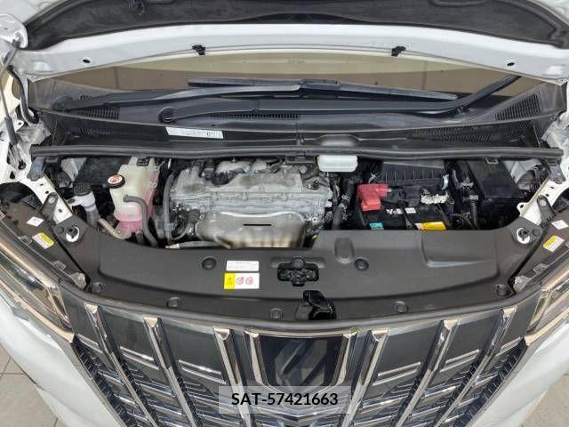 Toyota ALPHARD 2019-08 355407-19