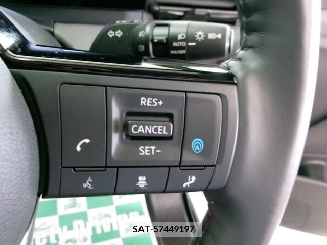 Nissan SERENA 2023-06 393870-28