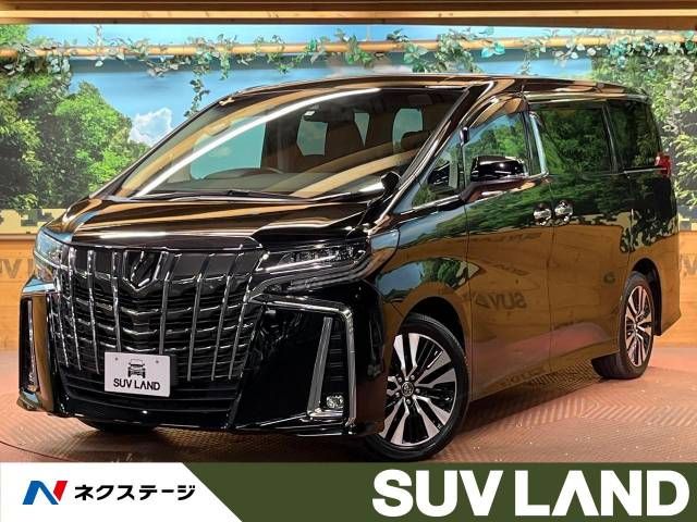 Toyota ALPHARD 2019-01 20148-0