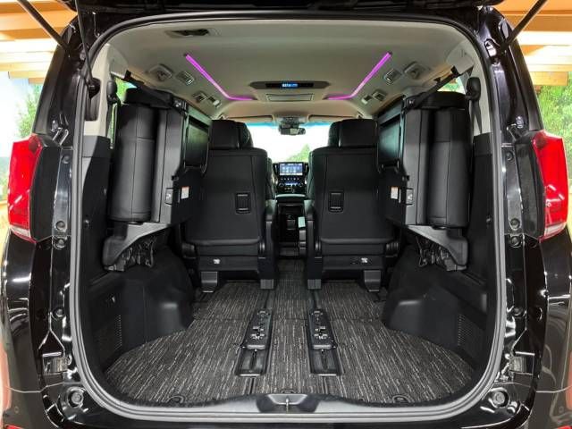 Toyota ALPHARD 2019-01 20148-13