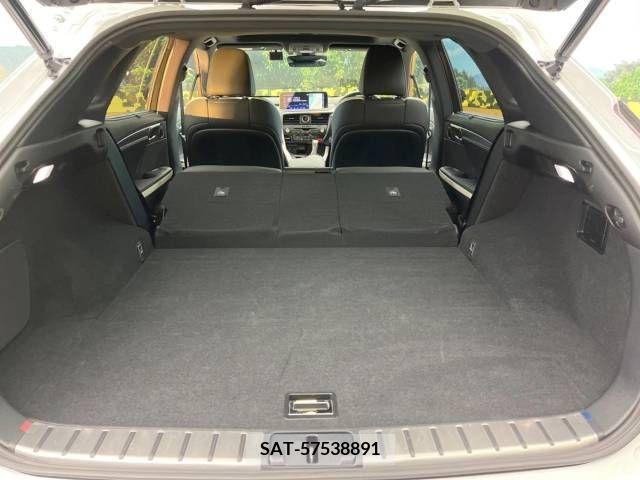 Lexus RX 2021-06 220097-10