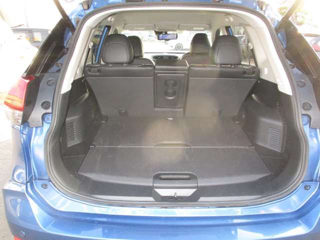 Nissan X-TRAIL 2019-03 22424-8