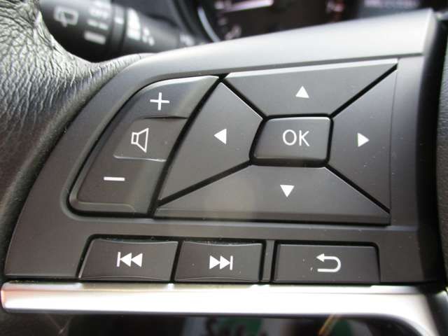 Nissan X-TRAIL 2019-03 22424-17