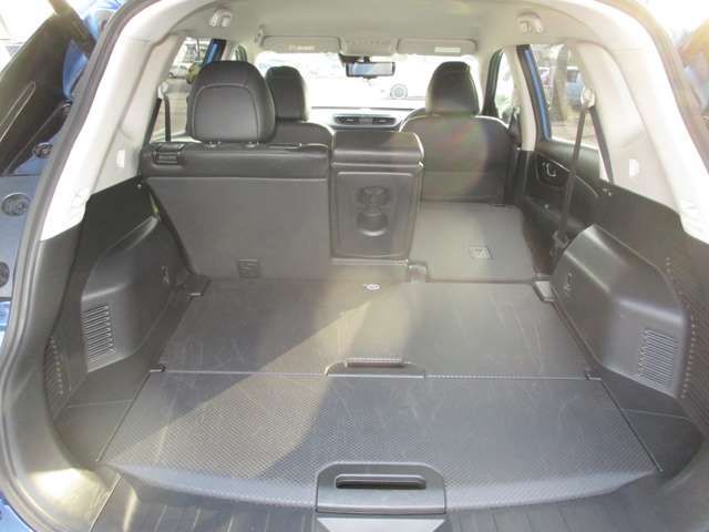 Nissan X-TRAIL 2019-03 22424-7