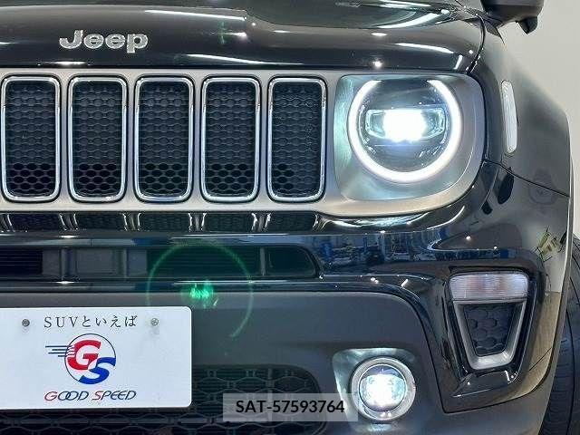 Jeep RENEGADE 2019-03 273264-18