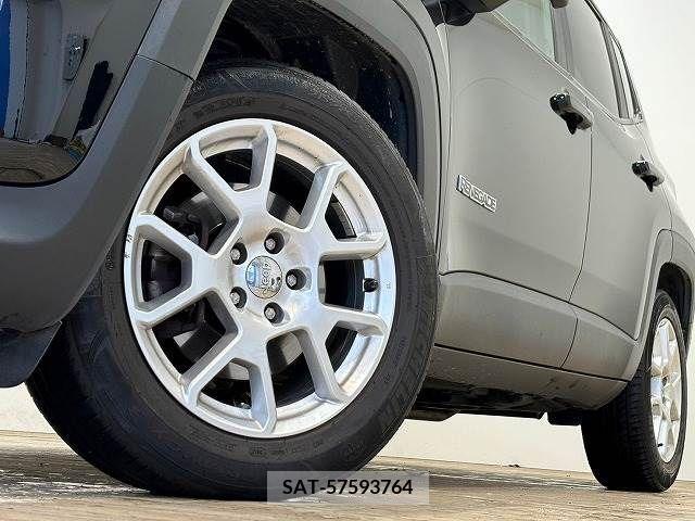 Jeep RENEGADE 2019-03 273264-17
