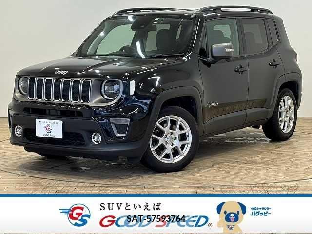 Jeep RENEGADE 2019-03 273264-0
