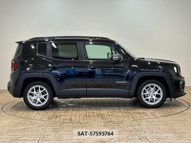 Jeep RENEGADE 2019-03 273264-15