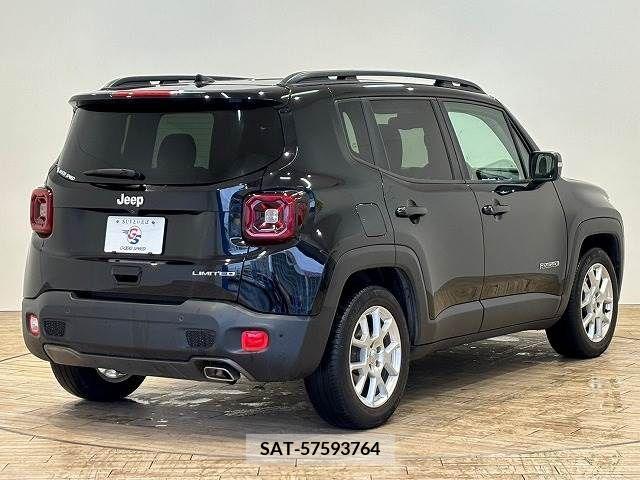 Jeep RENEGADE 2019-03 273264-13