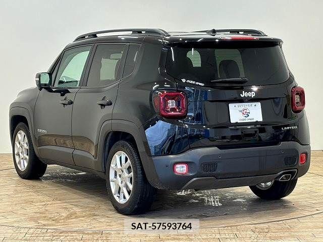 Jeep RENEGADE 2019-03 273264-14