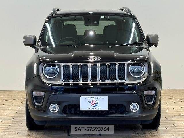 Jeep RENEGADE 2019-03 273264-11