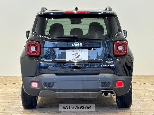 Jeep RENEGADE 2019-03 273264-12