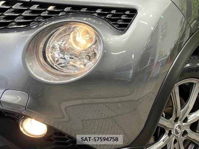 Nissan JUKE 2019-04 275062-12