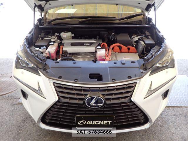 Lexus NX 2018-12 354310-25