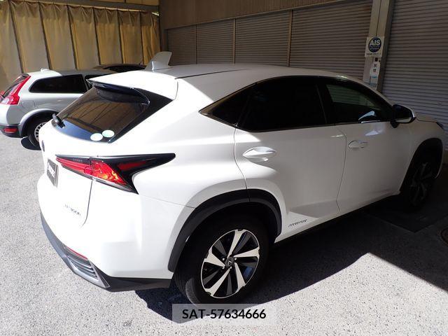 Lexus NX 2018-12 354310-7