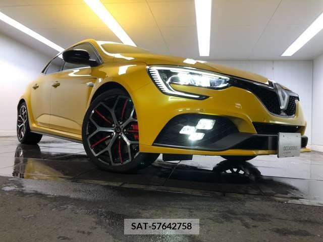 Renault MEGANE 2021-07 316993-9
