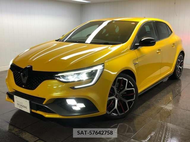Renault MEGANE 2021-07 316993-0