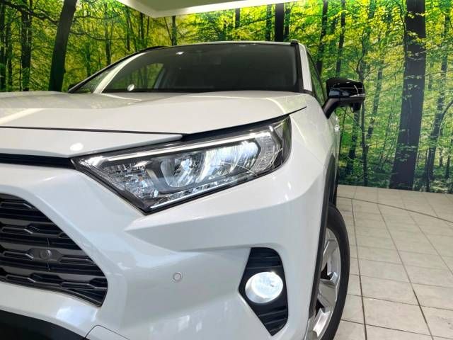 Toyota RAV4 2019-12 11149-10