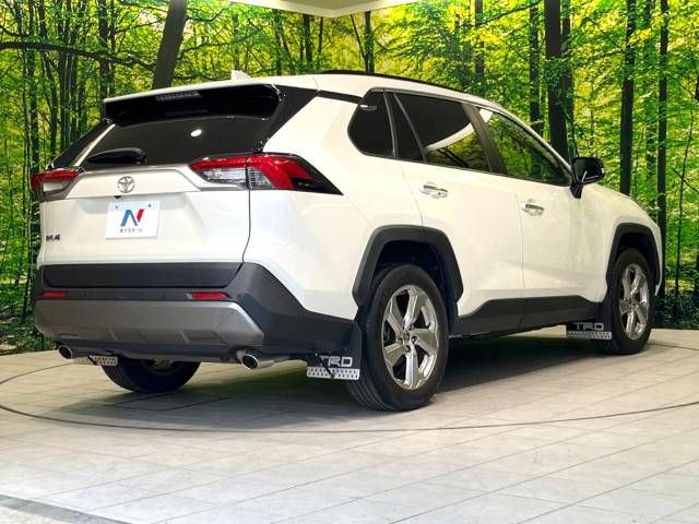 Toyota RAV4 2019-12 11149-15