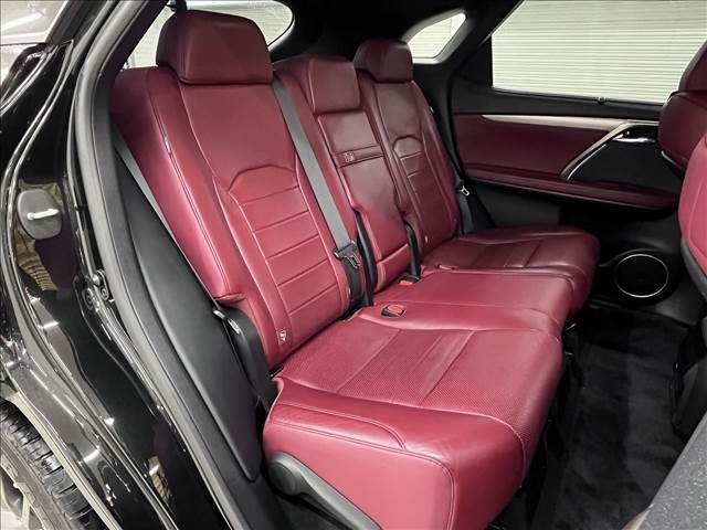 Lexus RX 2016-01 10848-11
