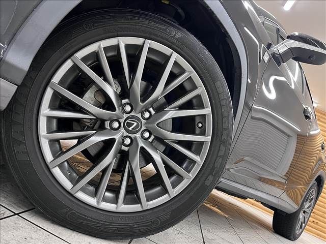 Lexus RX 2016-01 10848-18
