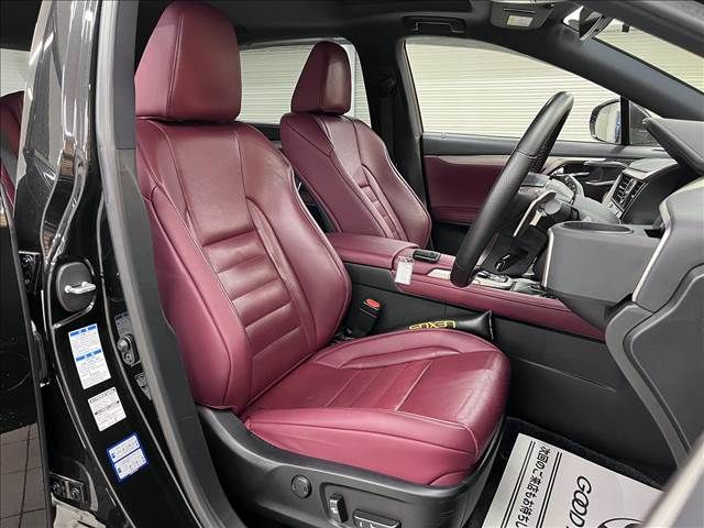 Lexus RX 2016-01 10848-10