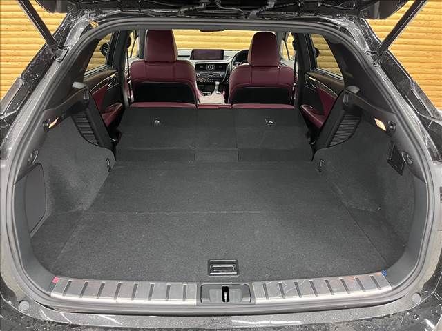 Lexus RX 2016-01 10848-12