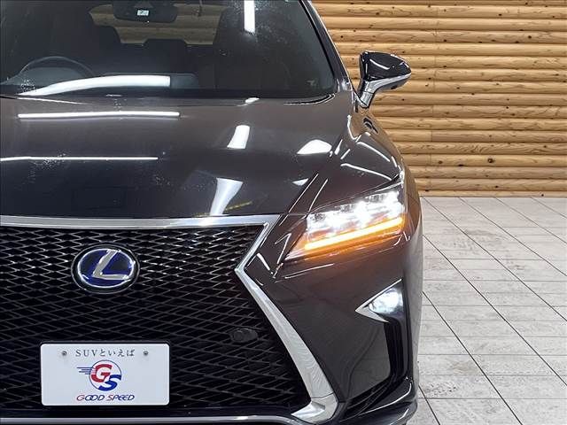 Lexus RX 2016-01 10848-19