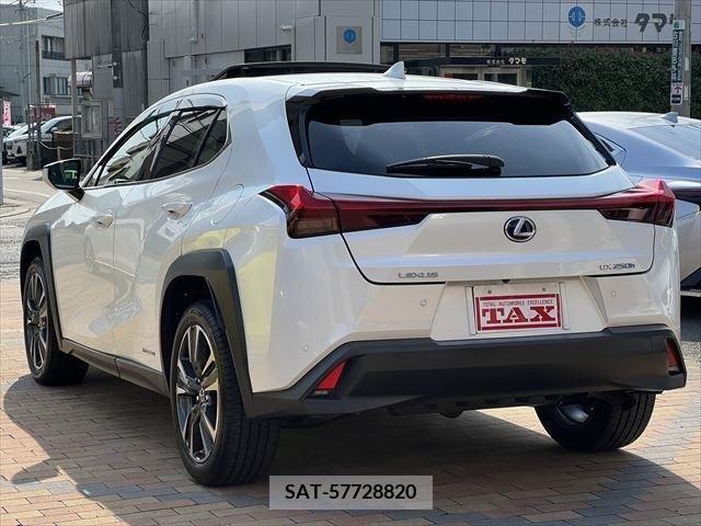 Lexus UX 2019-09 388184-4