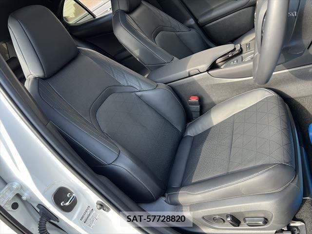 Lexus UX 2019-09 388184-12