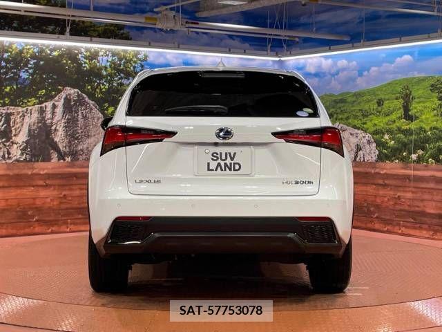Lexus NX 2018-11 275682-15