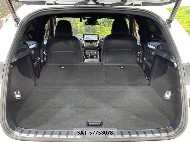 Lexus NX 2018-11 275682-10