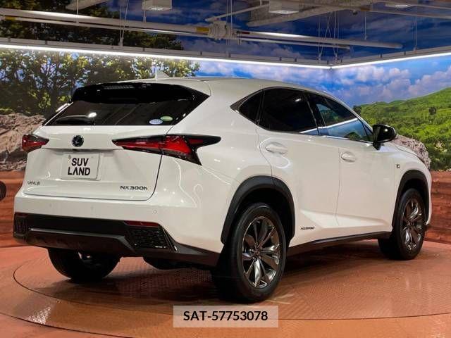 Lexus NX 2018-11 275682-17