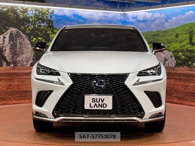 Lexus NX 2018-11 275682-14