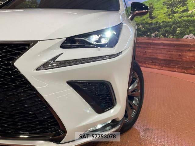 Lexus NX 2018-11 275682-12