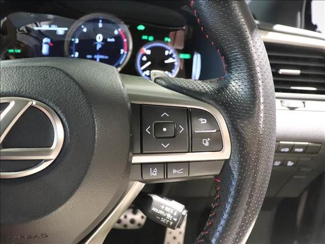Lexus RX 2018-05 846-9