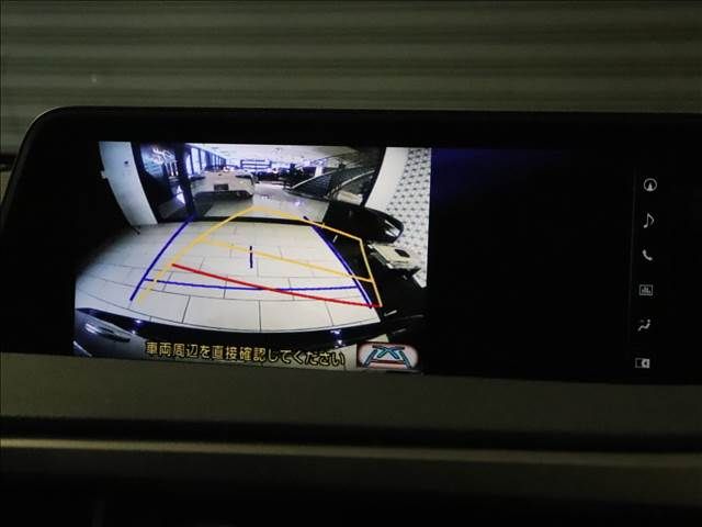Lexus RX 2018-05 846-4