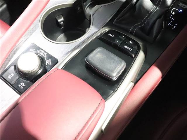 Lexus RX 2018-05 846-7