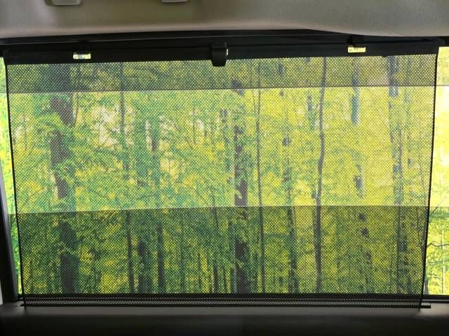 Nissan SERENA 2018-11 9819-7