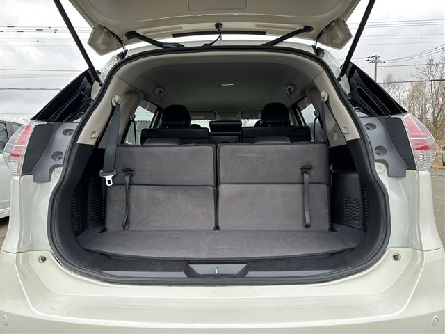 Nissan X-TRAIL 2014-03 1946-9