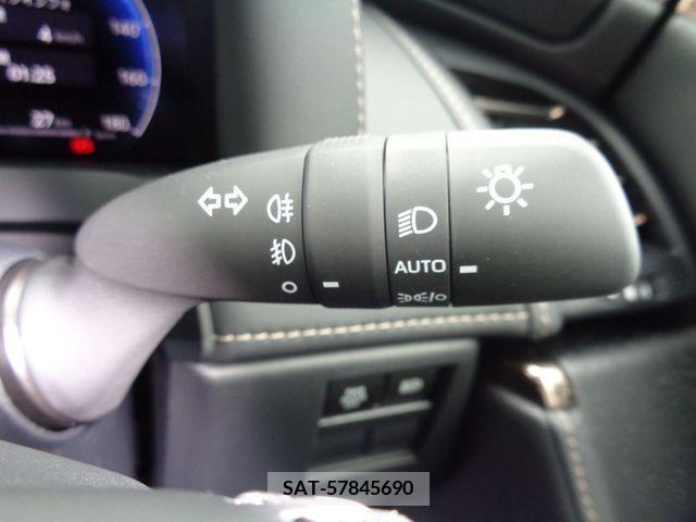 Toyota ALPHARD 2024-06 333581-25