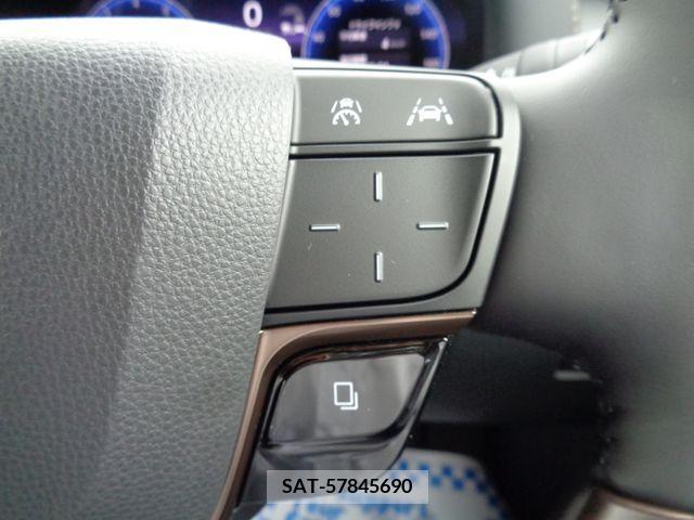 Toyota ALPHARD 2024-06 333581-20