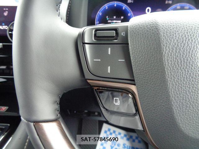 Toyota ALPHARD 2024-06 333581-19