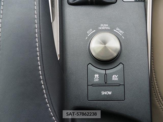 Lexus IS 2018-10 229121-25