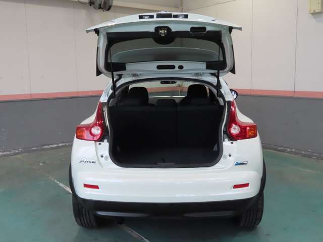 Nissan JUKE 2012-01 12005-7